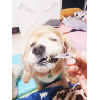 조소민님이 올린 리뷰 사진 4