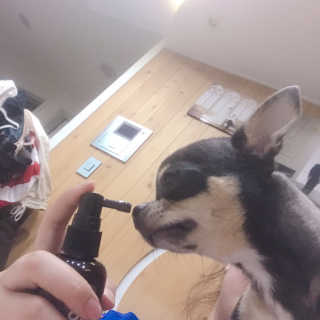 제리톰레나님이 올린 리뷰 사진 3