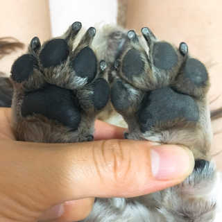 베베츄님이 올린 리뷰 사진 2