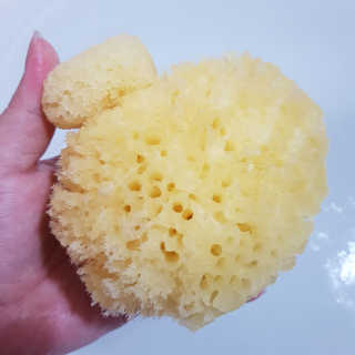 쪠님이 올린 리뷰 사진 2