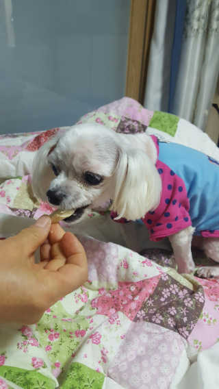 오윤택님이 올린 리뷰 사진 2