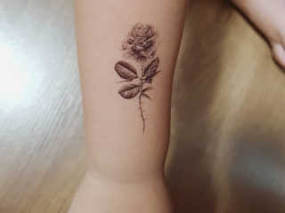 쎄오님이 올린 리뷰 사진 3