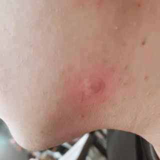 곰같은여우님이 올린 리뷰 사진 2