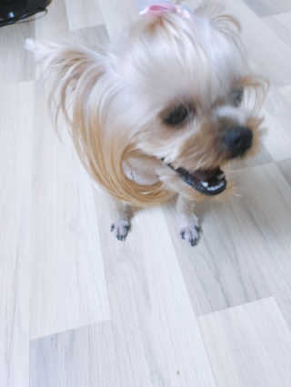 JinjuLee님이 올린 리뷰 사진 4