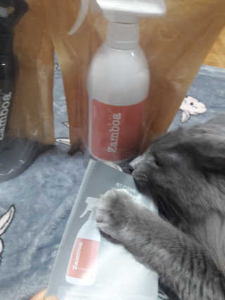 빵희님이 올린 리뷰 사진 4