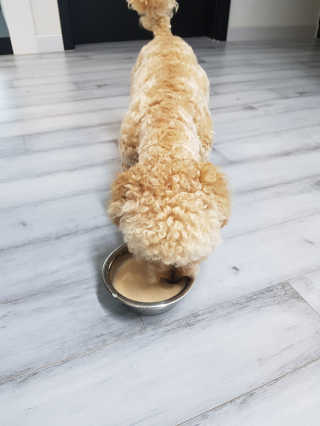 큐티윤님이 올린 리뷰 사진 2