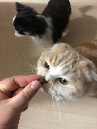 띠띠님이 올린 리뷰 사진 2
