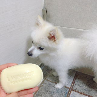 은이쨩님이 올린 리뷰 사진 1