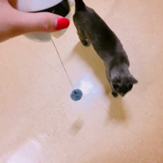 율집사님이 올린 리뷰 사진 2