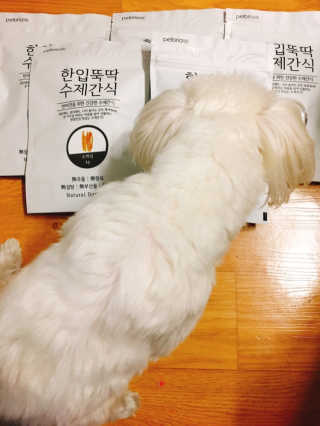[펫토리아] 한입뚝딱 강아지 수제간식 BEST 5종 — 5점을 준 리뷰어가 2019년 2월 올린 사용 사진