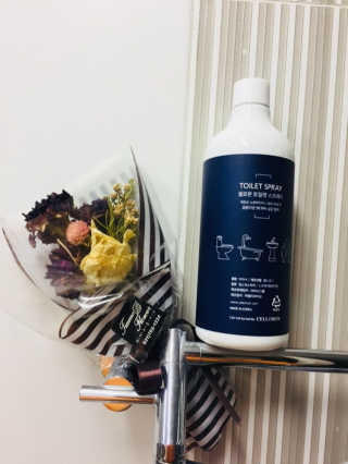 셀로몬 토일렛 스프레이 500ml — 4.83점을 준 리뷰어가 2018년 5월 올린 사용 사진