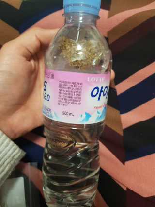 오공이님이 올린 리뷰 사진 2