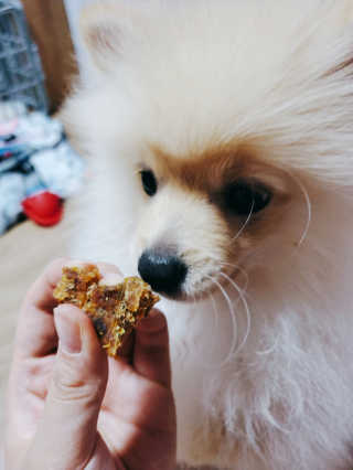 으콩님이 올린 리뷰 사진 2