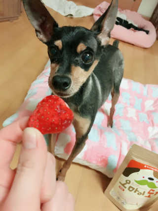 선찡님이 올린 리뷰 사진 2