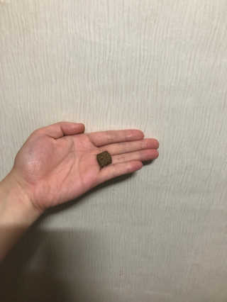 뉼뉼뉼님이 올린 리뷰 사진 2