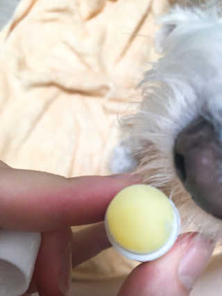 짓우님이 올린 리뷰 사진 4