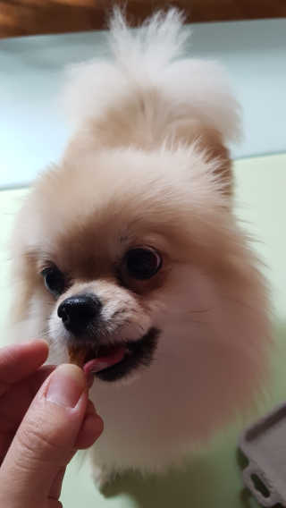 쭌쭌맘님이 올린 리뷰 사진 1