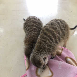 왓다동방러님이 올린 리뷰 사진 2