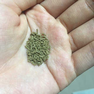 리나님이 올린 리뷰 사진 3
