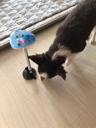 띠띠님이 올린 리뷰 사진 1