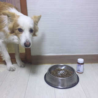 떡볶이죠아님이 올린 리뷰 사진 2