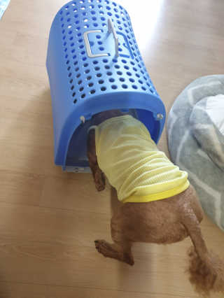 호호엄마님이 올린 리뷰 사진 4