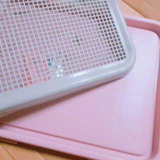 토토로님이 올린 리뷰 사진 2