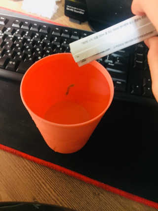 한라봉님이 올린 리뷰 사진 3