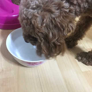 노지아님이 올린 리뷰 사진 3
