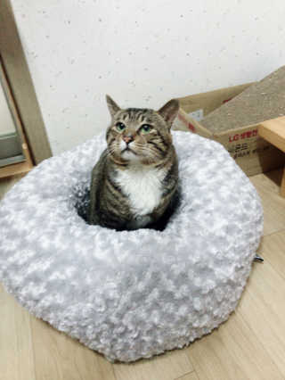 anna님이 올린 리뷰 사진 3
