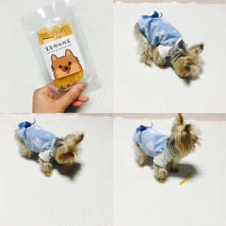 안다님이 올린 리뷰 사진 1