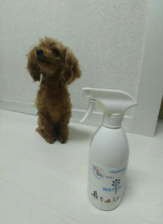 MijeongKim님이 올린 리뷰 사진 1
