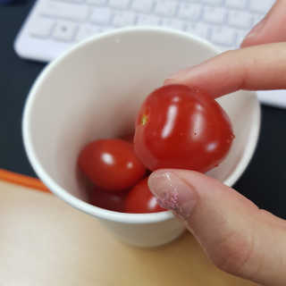 [강남,강서지역 한정]온라인편의점 나우픽 2만원 쿠폰 — 5점을 준 리뷰어가 2019년 4월 올린 사용 사진