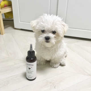 sohyeon님이 올린 리뷰 사진 1