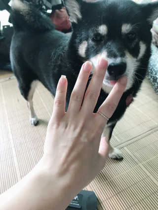 EunsunKim님이 올린 리뷰 사진 2