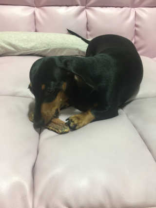 twotkdgml님이 올린 리뷰 사진 4