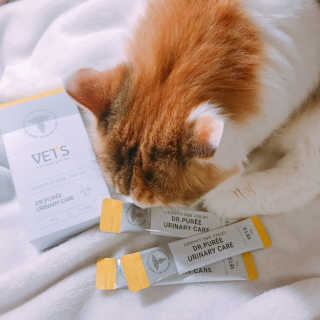 nothing님이 올린 리뷰 사진 2