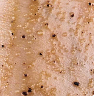 skaduce님이 올린 리뷰 사진 1