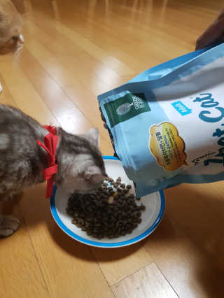 초코쿠키네님이 올린 리뷰 사진 1