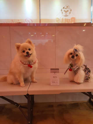 뚱이땅콩맘님이 올린 리뷰 사진 2