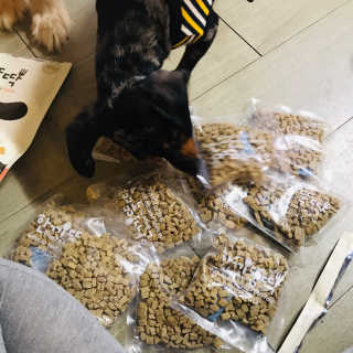 [펫토리아] 맛도 영양도 BEST 한끼뚝딱 강아지 사료 — 5점을 준 리뷰어가 2018년 12월 올린 사용 사진