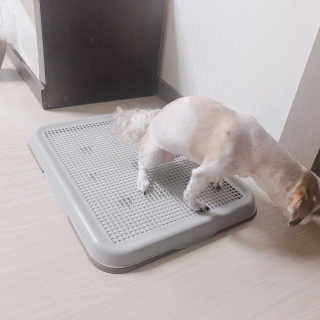 이슬비님이 올린 리뷰 사진 4