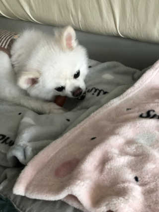 jenny님이 올린 리뷰 사진 2