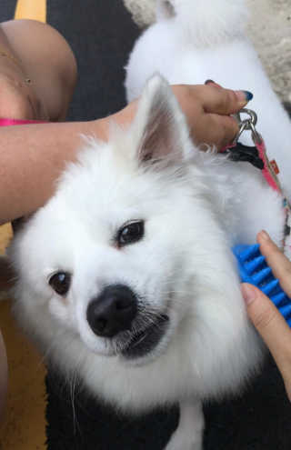 하죠이님이 올린 리뷰 사진 2