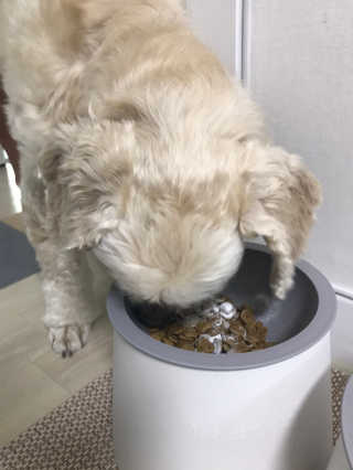 멋쟁이지휘관님이 올린 리뷰 사진 3