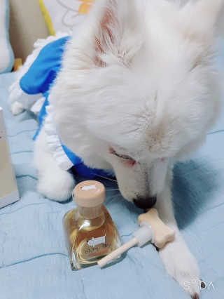 블리블리♡은블리♡님이 올린 리뷰 사진 3