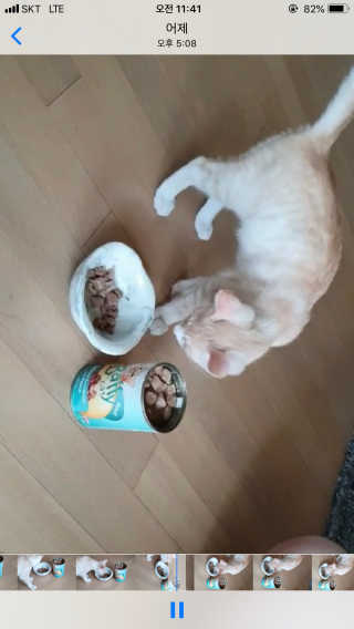 sy님이 올린 리뷰 사진 3