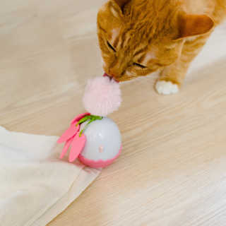 2019yaap님이 올린 리뷰 사진 4