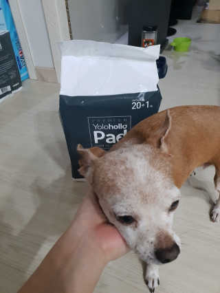 유진오님이 올린 리뷰 사진 1