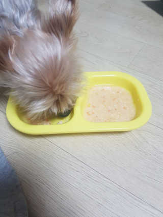 [펫토리아] 토로토로 하치  강아지간식 수프 6종 — 4점을 준 리뷰어가 2019년 9월 올린 사용 사진